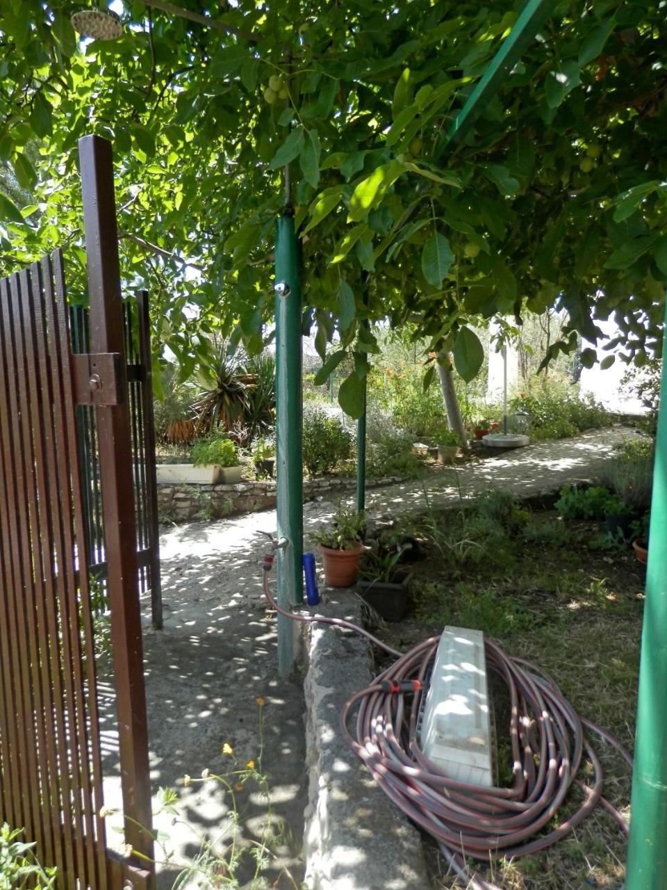 Apartments Zivana Rogoznica  Εξωτερικό φωτογραφία